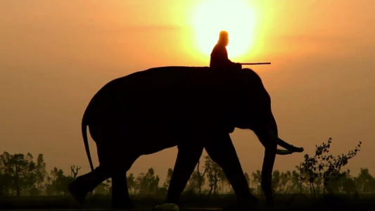 Watch When Elephants Were Young Trailer