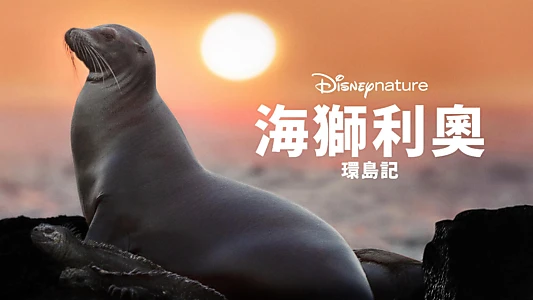 Sea Lions of the Galapagos