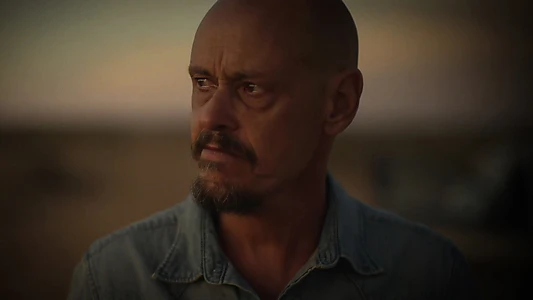 Mr Inbetween