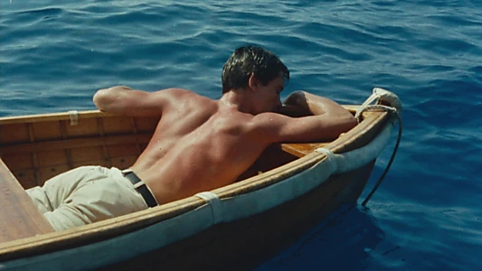 Purple Noon