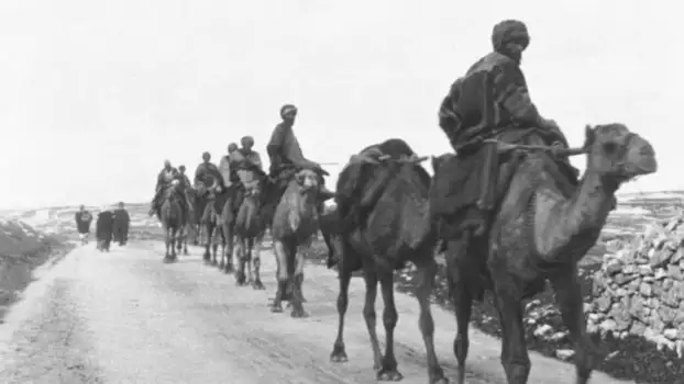 Caravane de chameaux