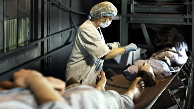 Watch Health Factory Trailer
