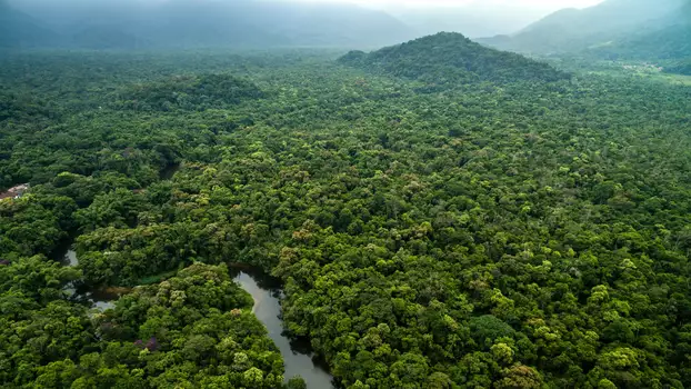 Guyane : L'or de la discorde