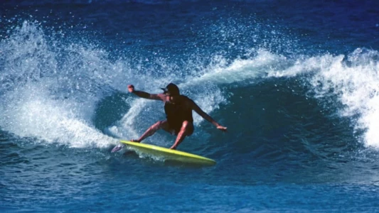 Fish: The Surfboard Documentary