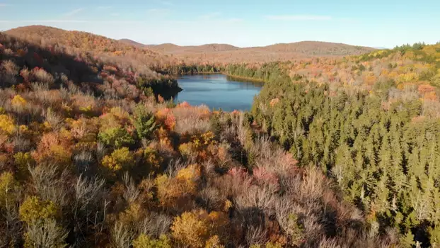 Le retour de la nature sauvage