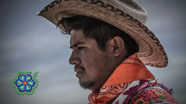 Huicholes: The Last Peyote Guardians