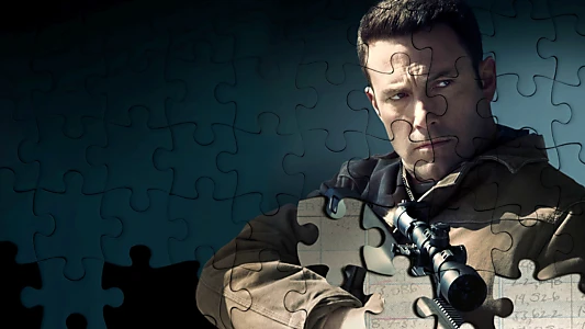 The Accountant