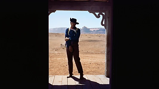 The Searchers