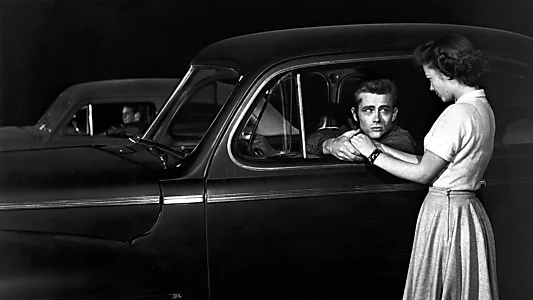Rebel Without a Cause