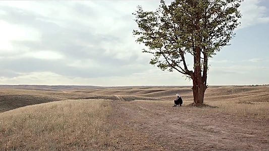 Watch The Road to Mother Trailer