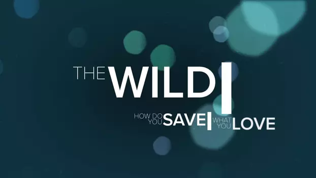 Watch The Wild Trailer