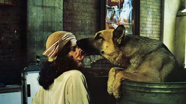 Watch Won Ton Ton: The Dog Who Saved Hollywood Trailer