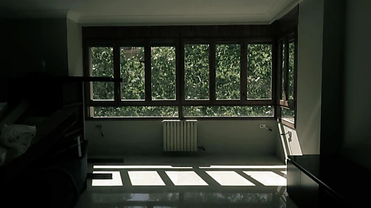 The windows
