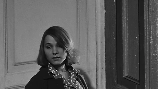 Brief Encounters
