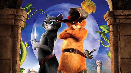 Le Chat Potte 11 Film Ou Regarder Le Streaming Online