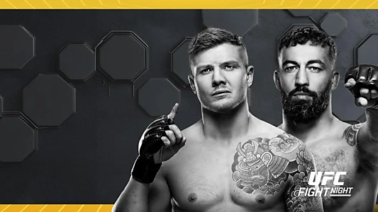 UFC Fight Night 254: Vettori vs. Dolidze 2