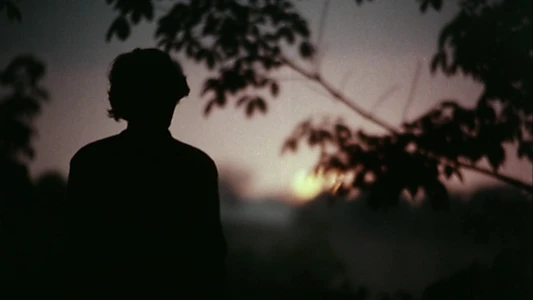 Twilight