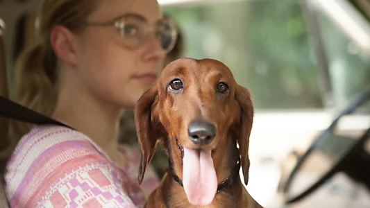 Wiener-Dog