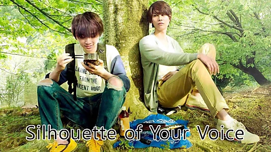 Silhouette of Your Voice