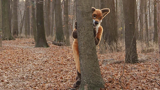 Fursonas