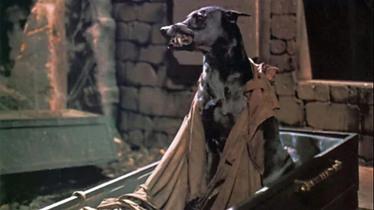 Dracula's Dog