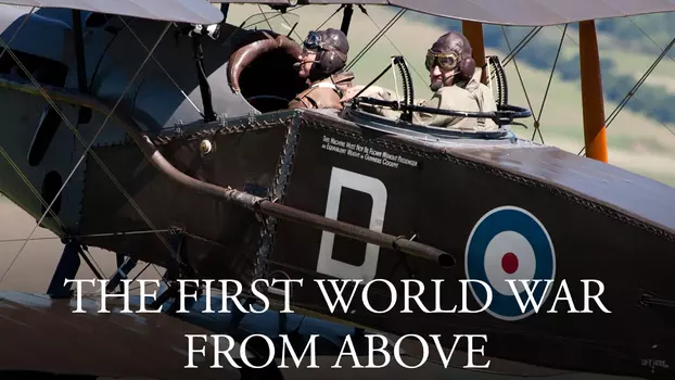 The First World War From Above