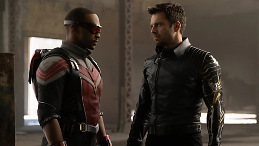 The Falcon and the Winter Soldier