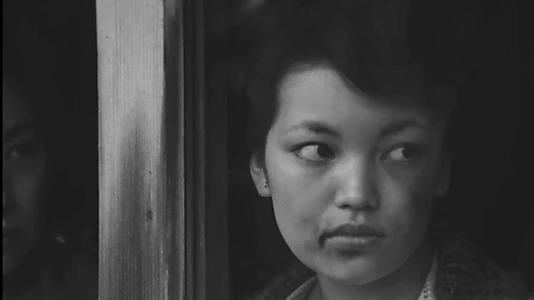 The Love and Adventures of Kuroki Taro
