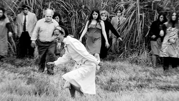 Zombies in the Sugar Cane Field: The Documentary