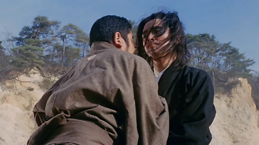 Zatoichi Meets the One-Armed Swordsman