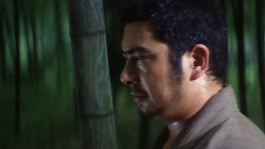 Zatoichi and the Fugitives