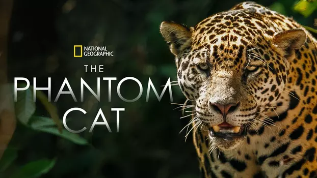 The Phantom Cat: Jaguar
