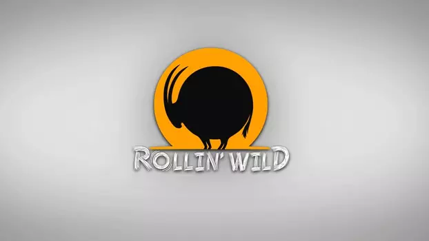 Rollin' Wild