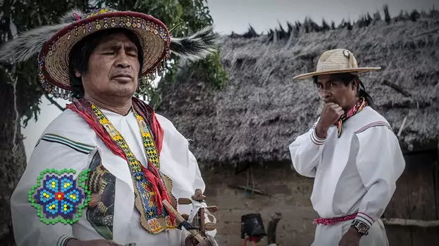 Huicholes: The Last Peyote Guardians