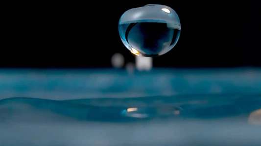 H2O: The Molecule that Made Us