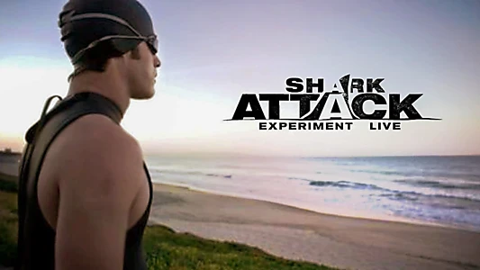 Shark Attack Experiment Live