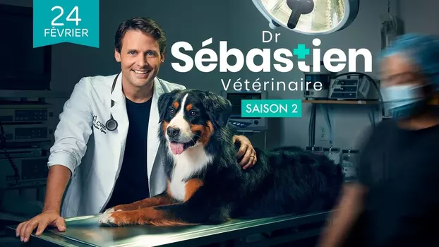 Dr Sébastien, vétérinaire