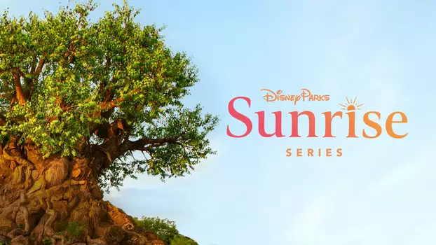 Disney Parks Sunrise Series