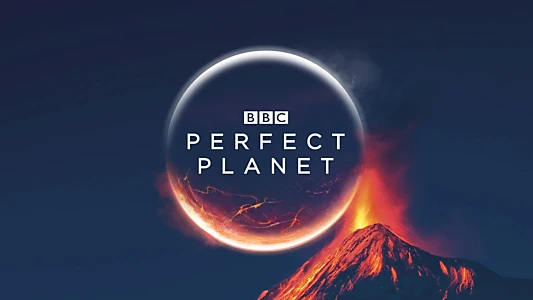 A Perfect Planet