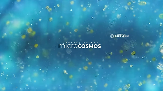 Journey to the Microcosmos