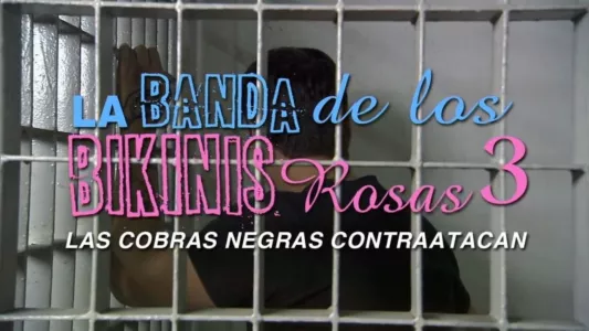 La banda de los bikinis rosas 3 - Las cobras negras contraatacan