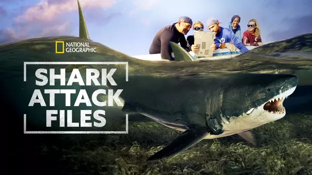Shark Attack Files