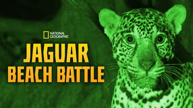 Jaguar Beach Battle