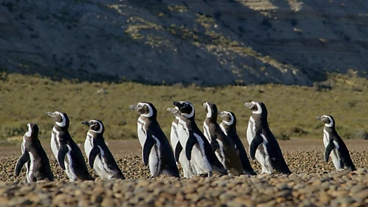 Patagonia: Life on the Edge of the World