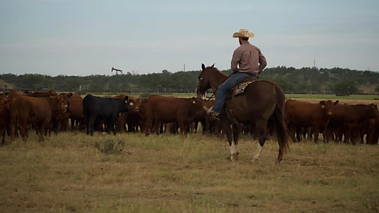 Cowboys Without Borders