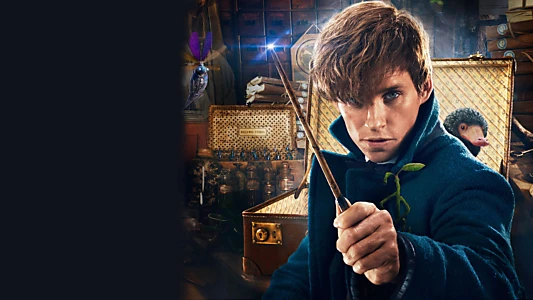 Fantastic Beasts and Where to Find Them