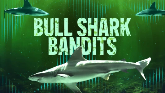 Bull Shark Bandits