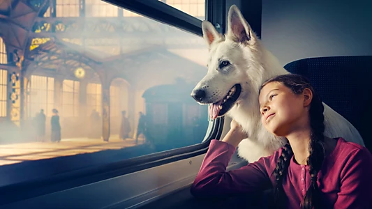 The Travelling Dog