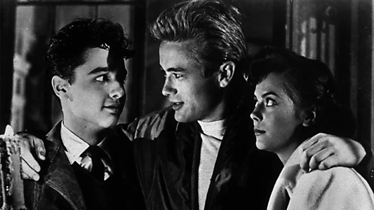 Rebel Without a Cause
