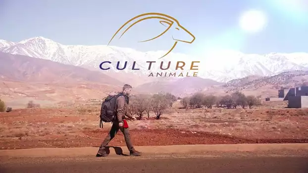 Culture Animale